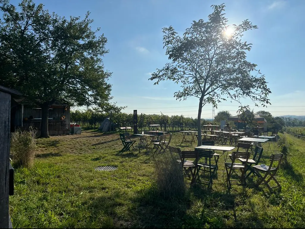 Gastgarten Fritsch Wein